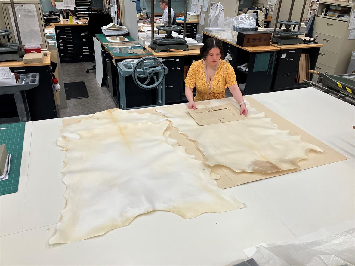 A student sits at a large table in a conservation laboratory. On the table are two large parchment skins.