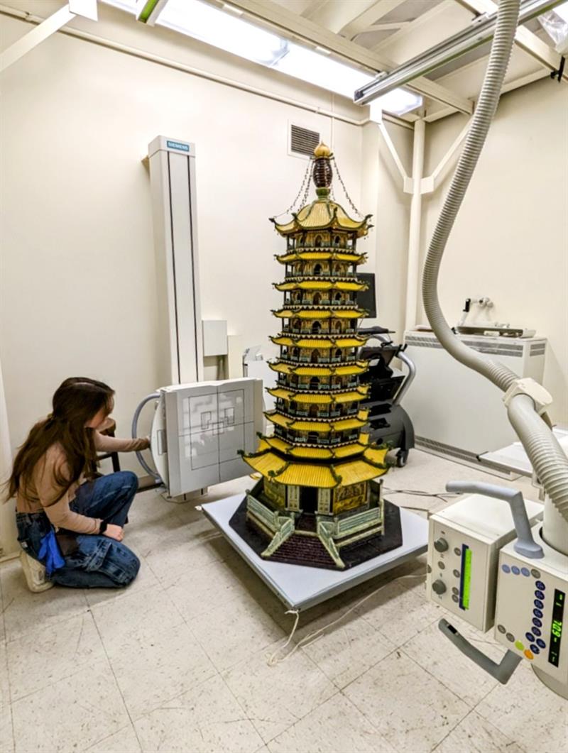 A student, wearing a protective lead-lined apron, positions the electronic x-ray plate along the bottom of the pagoda.