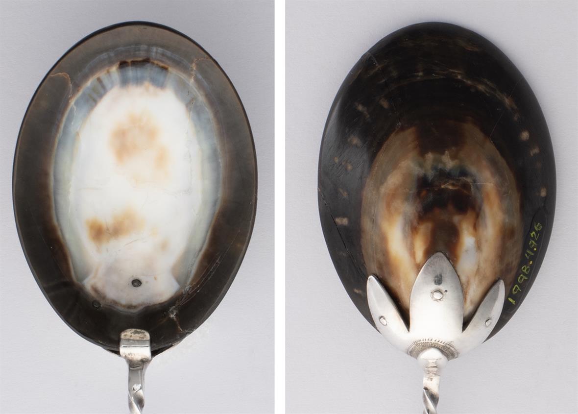 Images of the front and back of the shell bowl; no break is visible and the shell is clean.