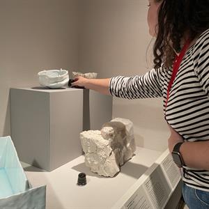 Student Blog: Preventive Conservation at The Metropolitan Museum of Art