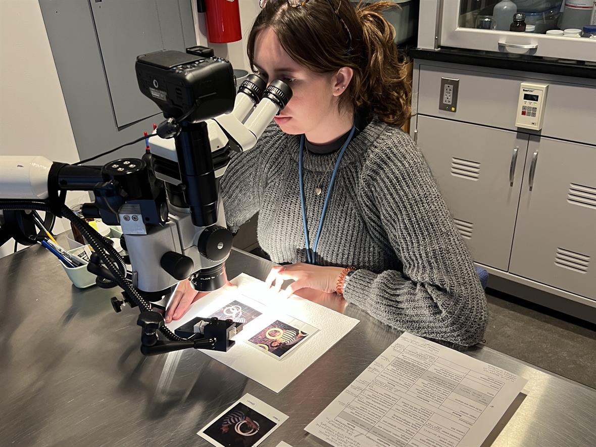 A student sits at a microscope and examines polaroid pictures.