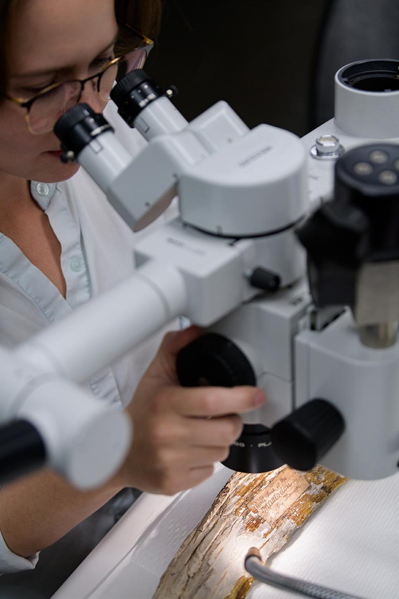 A student uses a microscope to look at the fossil fragment.