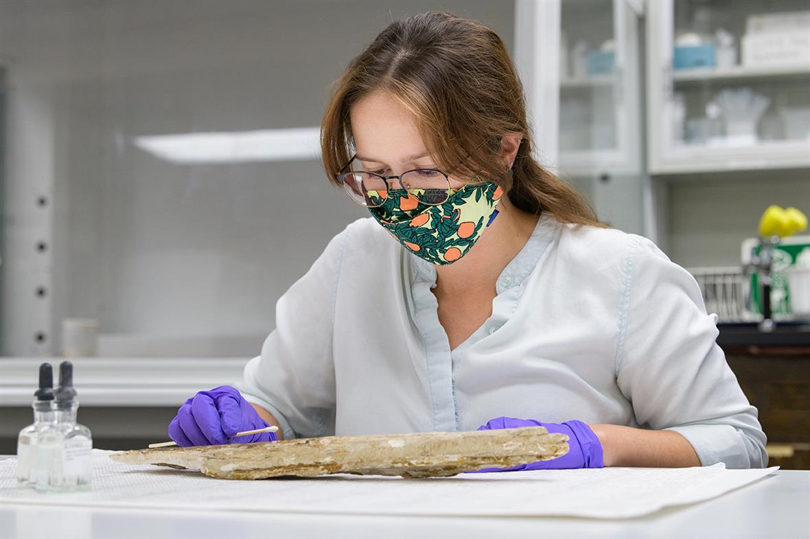 A student uses a cotton swab to gently remove surface dirt from the fossil.