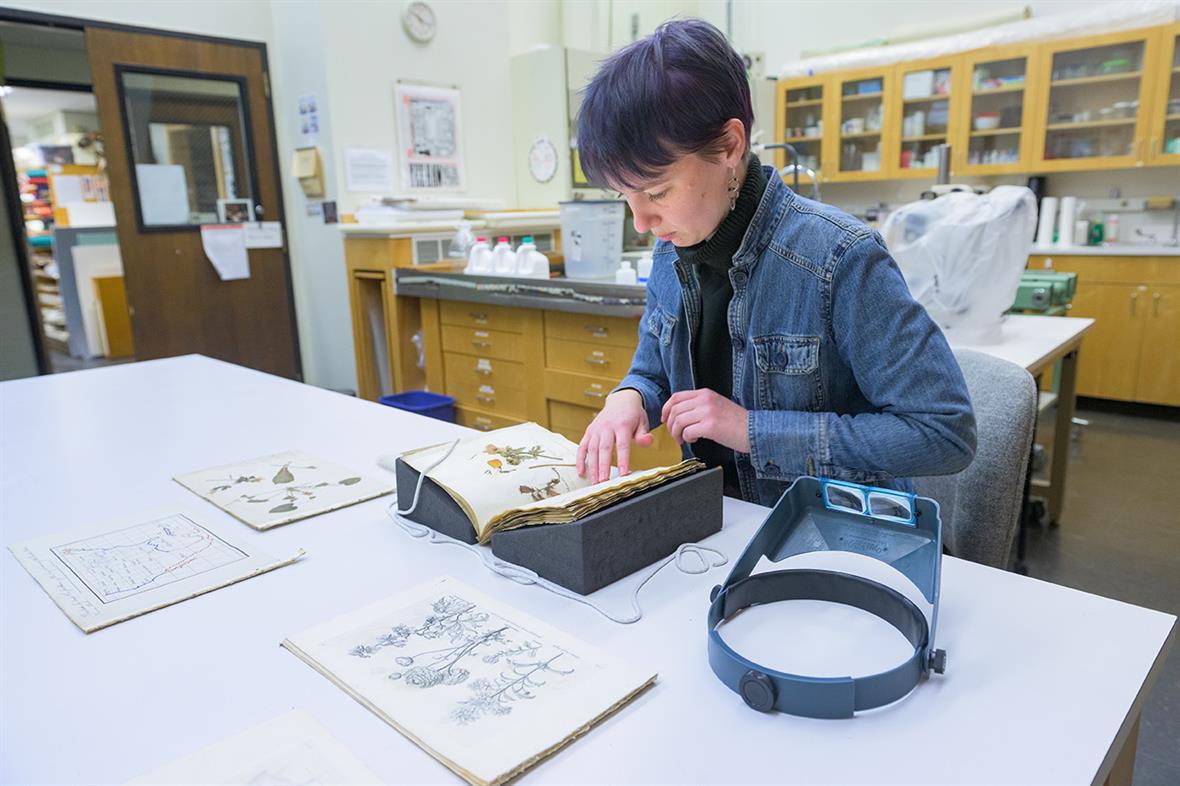 A student sits at a table and examines an herbarium book that sits on a book cradle.