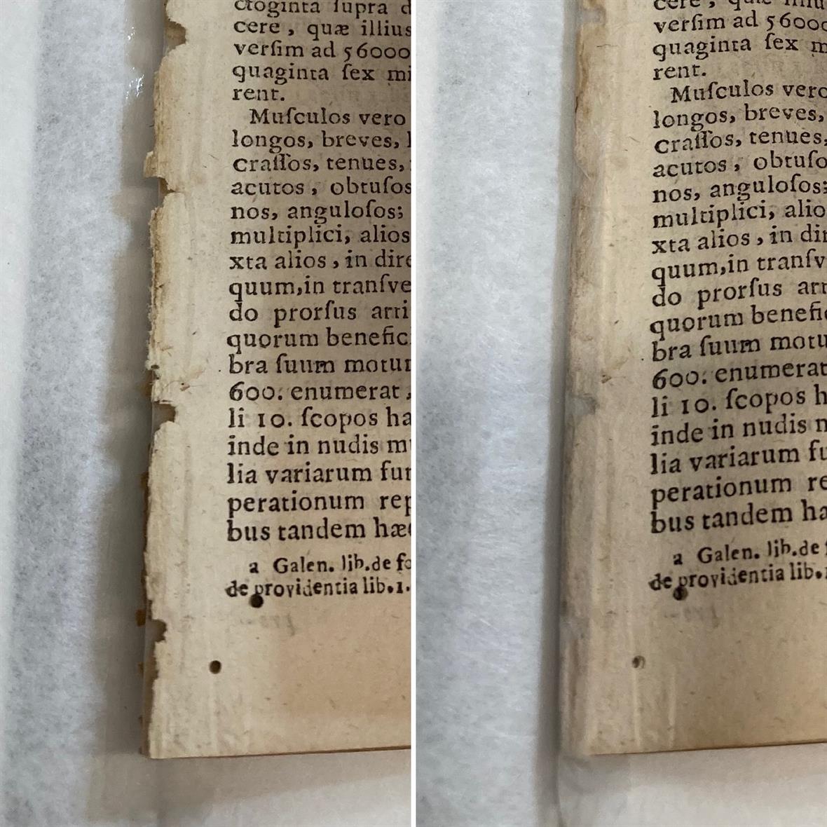 Images of losses in the paper sheets, and how they look filled with replacement papers.