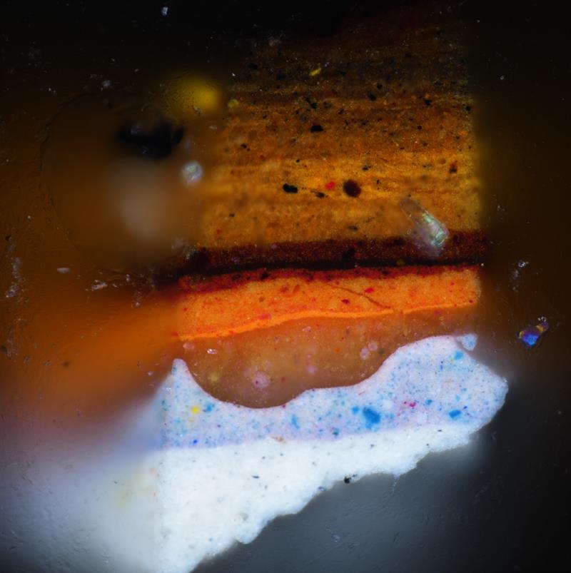Close-up image of a paint cross-secton of the painting, showing the white ground layer, multiple organe, red, and brown layers, and a top varnish layer with some flecks of pigment in it.