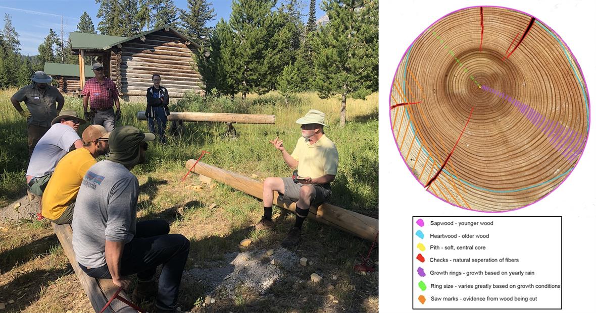 Students sitting on a log, listening to a teacher, and a crosssection diagram of a log.