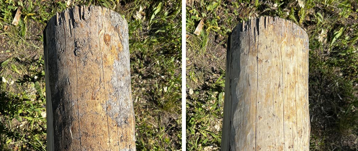 Detail of a log before and after peeling.